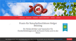 Desktop Screenshot of holger-bruening.com